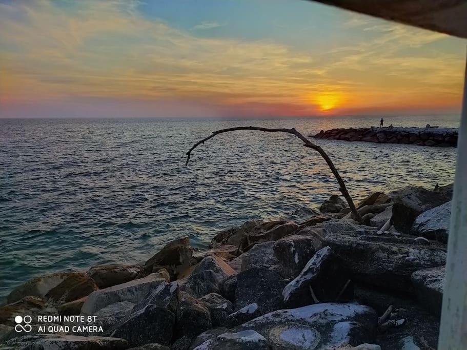 Casa Vacanze Marina Di Pisa Catola Kültér fotó
