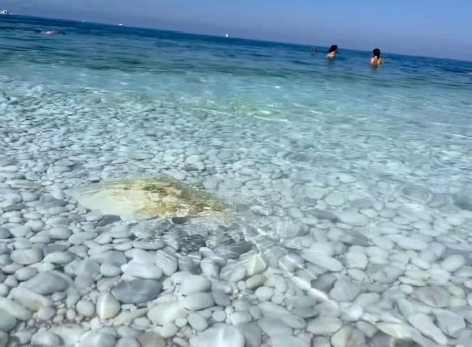 Casa Vacanze Marina Di Pisa Catola Kültér fotó